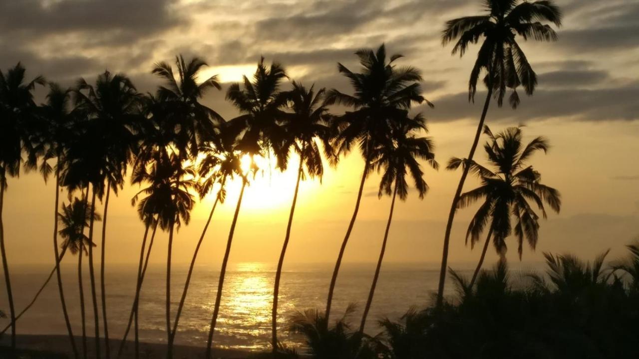 Afiki Hotel Elmina Bagian luar foto